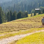 Bio-bergbauernhof Ederhias Farm stay Liesing