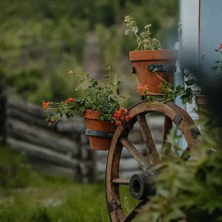 Bauernhof Bio-bergbauernhof Ederhias *