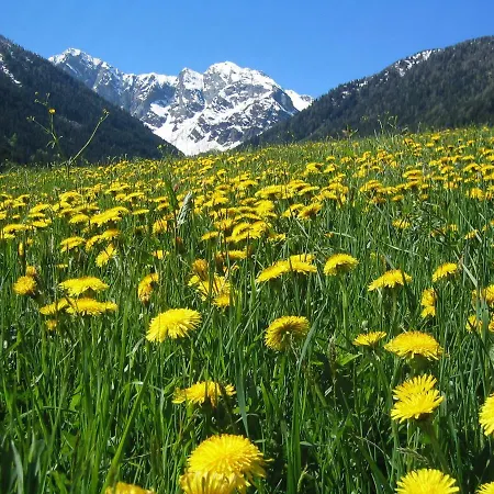 Alloggio per agriturismo Bio-bergbauernhof Ederhias