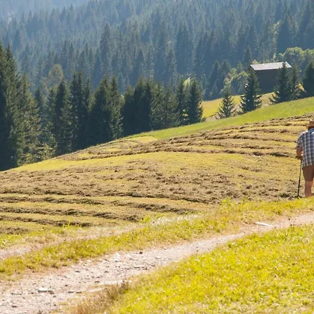 Bio-bergbauernhof Ederhias Çiftlik konaklama Liesing
