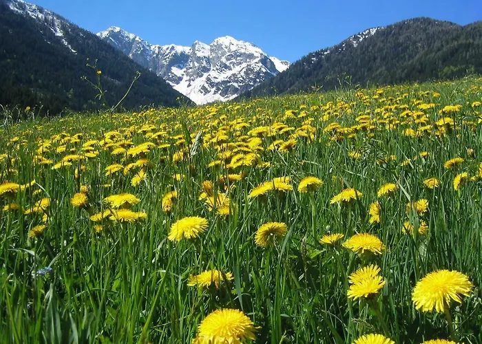 Séjour à la ferme Bio-bergbauernhof Ederhias